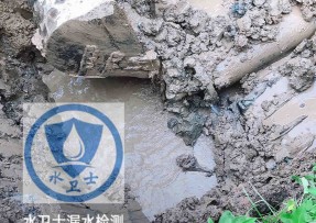 红谷滩区水管漏水检测公司5